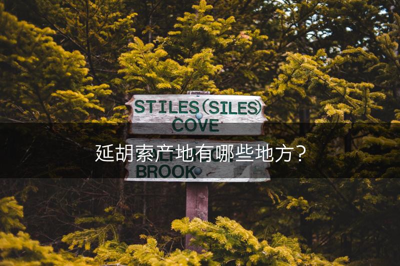 延胡索产地有哪些地方？(图1)