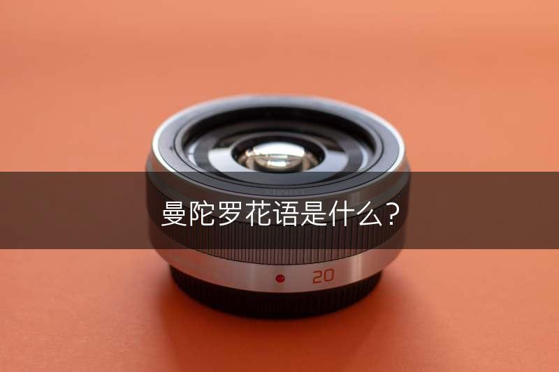 曼陀罗花语是什么？(图1)