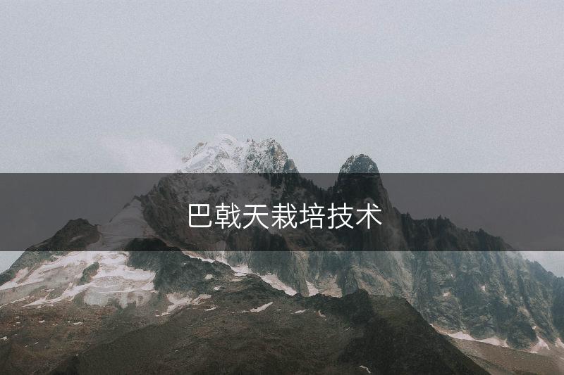 巴戟天栽培技术(图1)