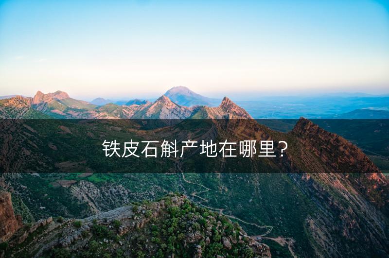 铁皮石斛产地在哪里？(图1)