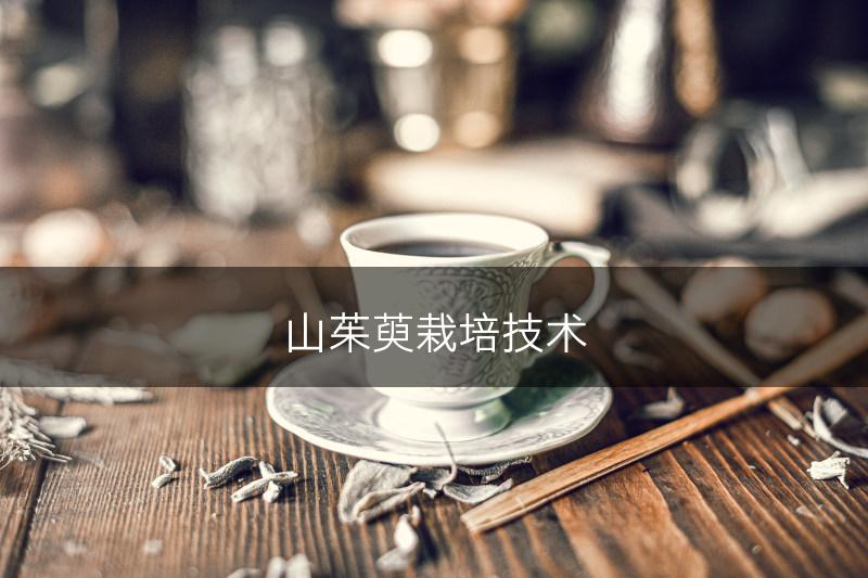 山茱萸栽培技术(图1)