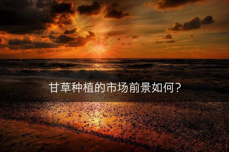 甘草种植的市场前景如何？(图1)