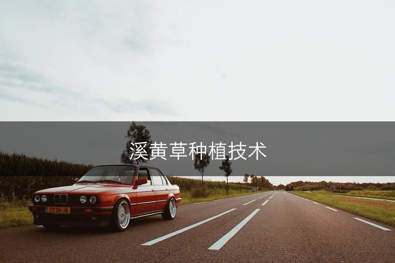 溪黄草种植技术(图1)
