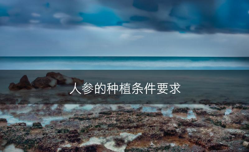 人参的种植条件要求(图1)