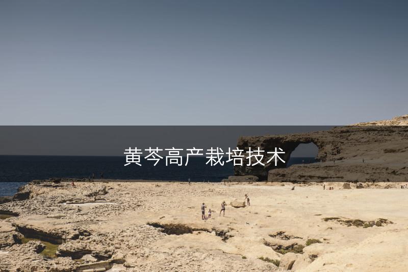 黄芩高产栽培技术(图1)