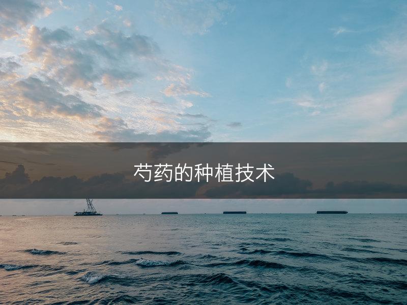 芍药的种植技术(图1)