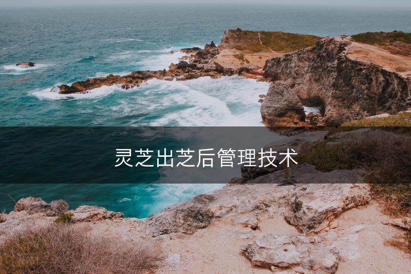 灵芝出芝后管理技术(图1)