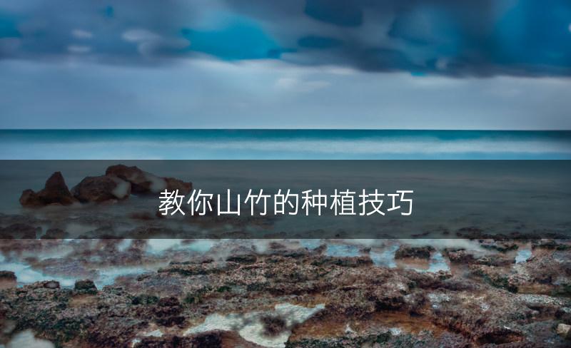 教你山竹的种植技巧(图1)