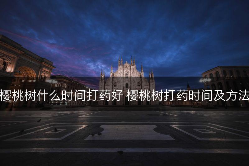 樱桃树什么时间打药好 樱桃树打药时间及方法(图1)