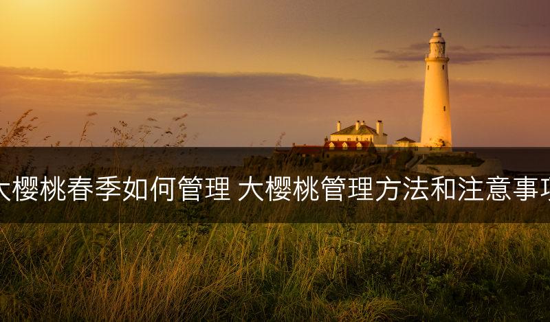 大樱桃春季如何管理 大樱桃管理方法和注意事项(图1)