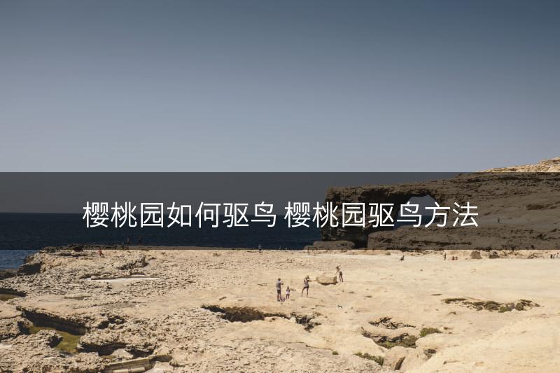 樱桃园如何驱鸟 樱桃园驱鸟方法(图1)