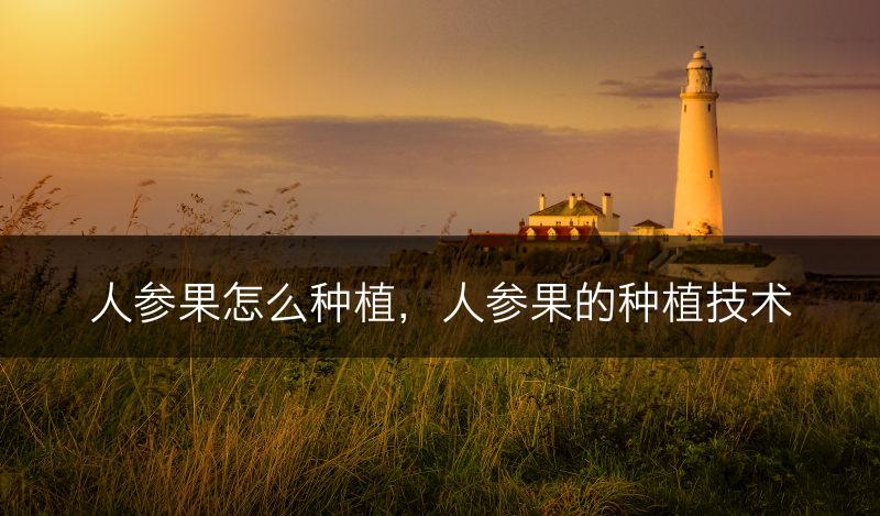 人参果怎么种植，人参果的种植技术(图1)