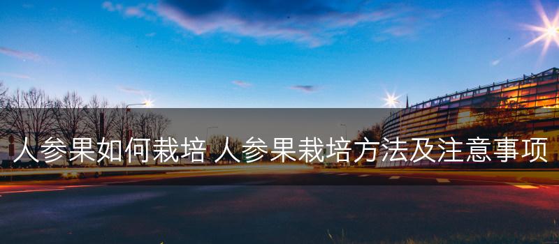 人参果如何栽培 人参果栽培方法及注意事项(图1)