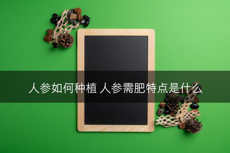 人参如何种植 人参需肥特点是什么(图1)