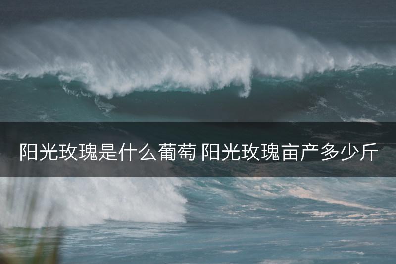 阳光玫瑰是什么葡萄 阳光玫瑰亩产多少斤(图1)