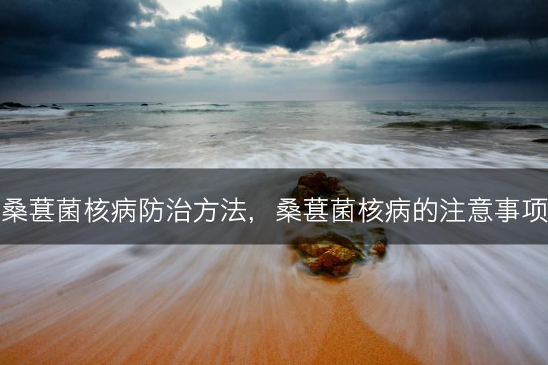 桑葚菌核病防治方法，桑葚菌核病的注意事项(图1)