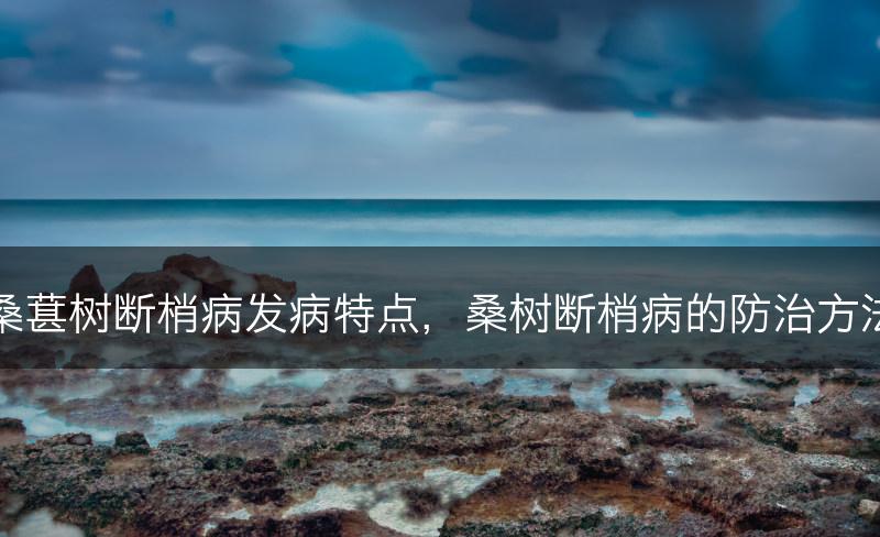 桑葚树断梢病发病特点，桑树断梢病的防治方法(图1)