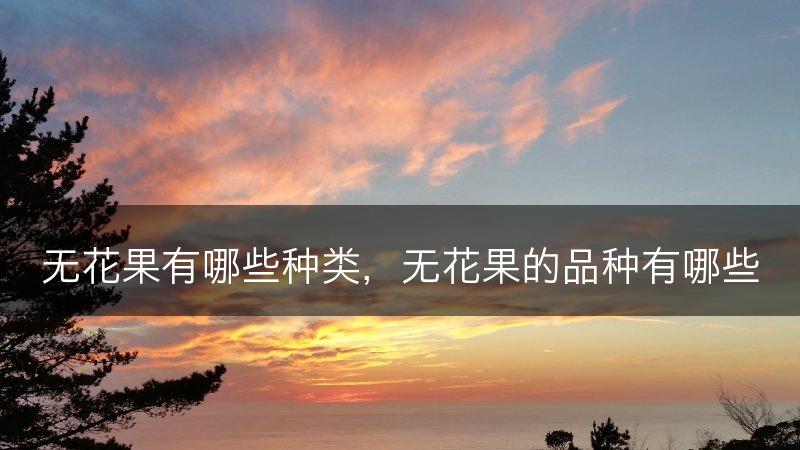 无花果有哪些种类，无花果的品种有哪些(图1)