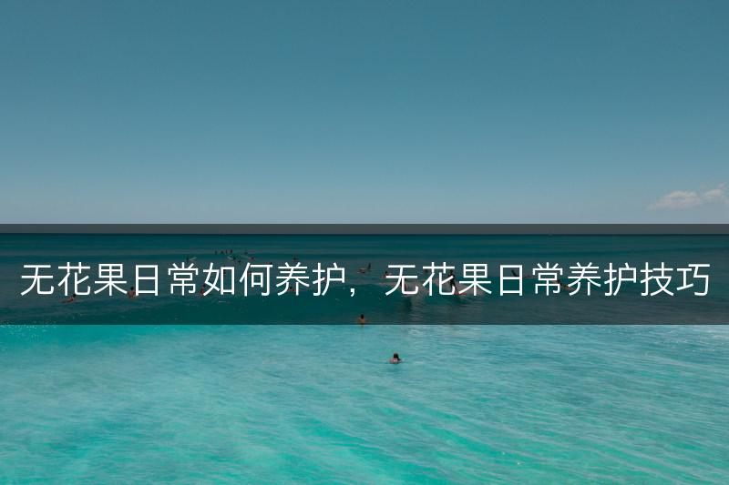 无花果日常如何养护，无花果日常养护技巧(图1)