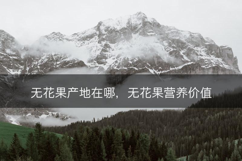 无花果产地在哪，无花果营养价值(图1)