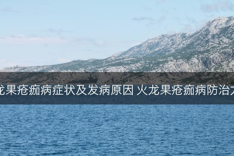 火龙果疮痂病症状及发病原因 火龙果疮痂病防治方法(图1)
