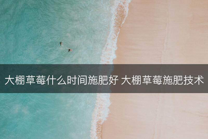 大棚草莓什么时间施肥好 大棚草莓施肥技术(图1)