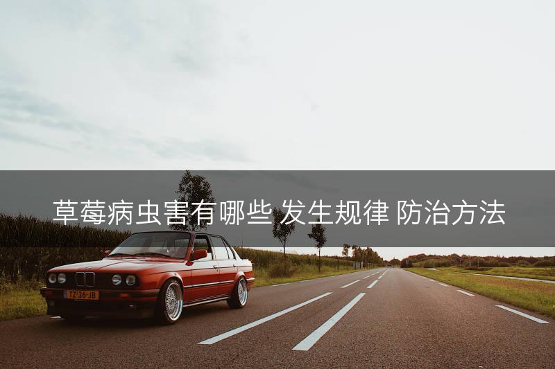 草莓病虫害有哪些 发生规律 防治方法(图1)