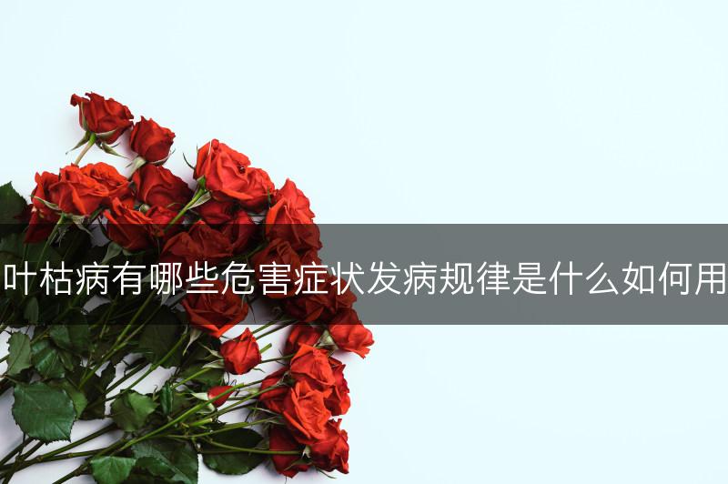 草莓叶枯病有哪些危害症状发病规律是什么如何用药防(图1)