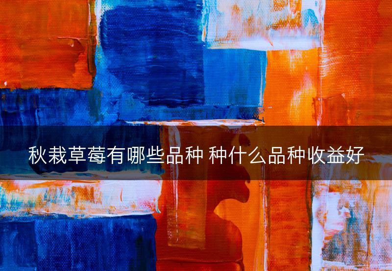 秋栽草莓有哪些品种 种什么品种收益好(图1)