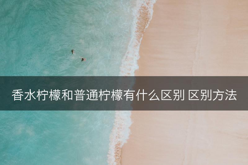香水柠檬和普通柠檬有什么区别 区别方法(图1)