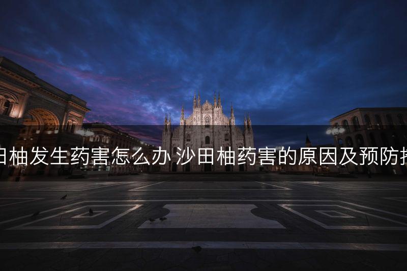 沙田柚发生药害怎么办 沙田柚药害的原因及预防措施(图1)