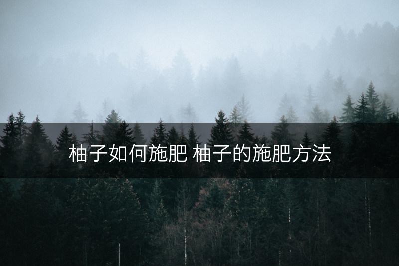 柚子如何施肥 柚子的施肥方法(图1)
