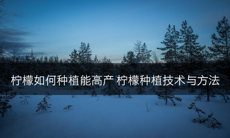 柠檬如何种植能高产 柠檬种植技术与方法(图1)
