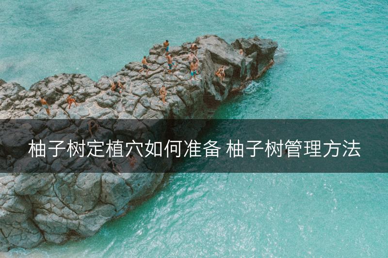 柚子树定植穴如何准备 柚子树管理方法(图1)