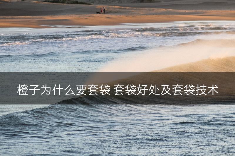 橙子为什么要套袋 套袋好处及套袋技术(图1)