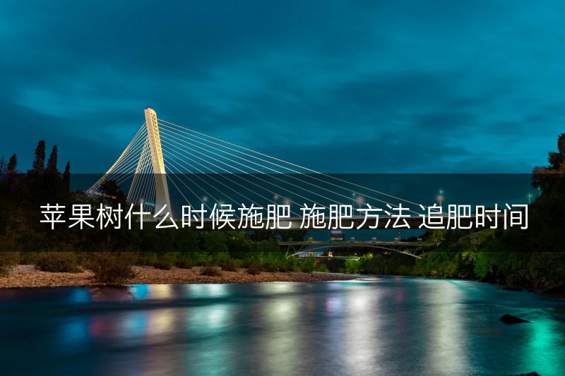 苹果树什么时候施肥 施肥方法 追肥时间(图1)