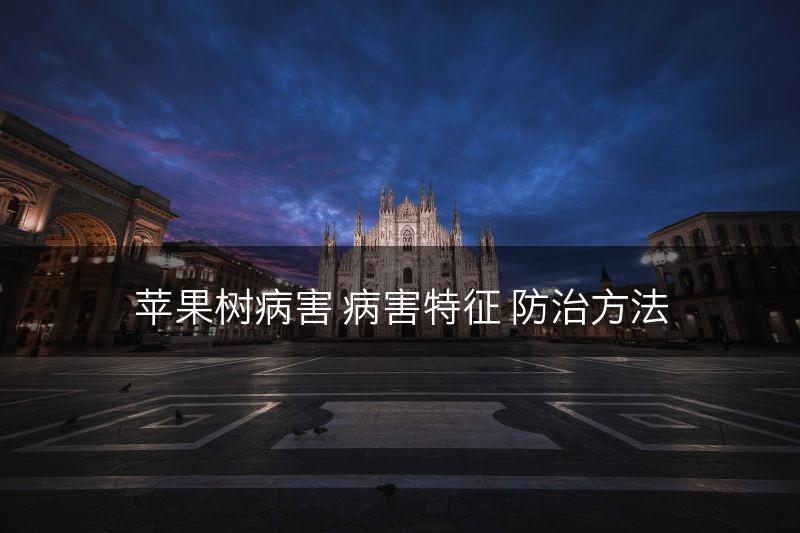 苹果树病害 病害特征 防治方法(图1)