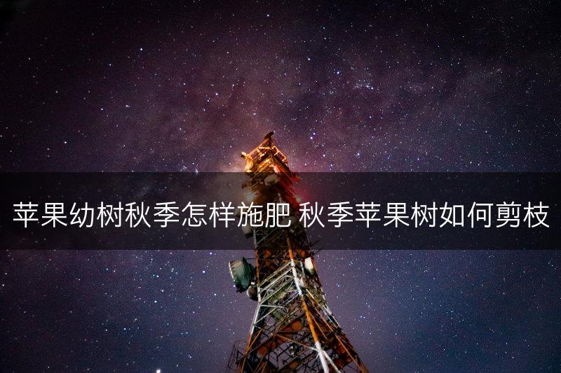 苹果幼树秋季怎样施肥 秋季苹果树如何剪枝(图1)