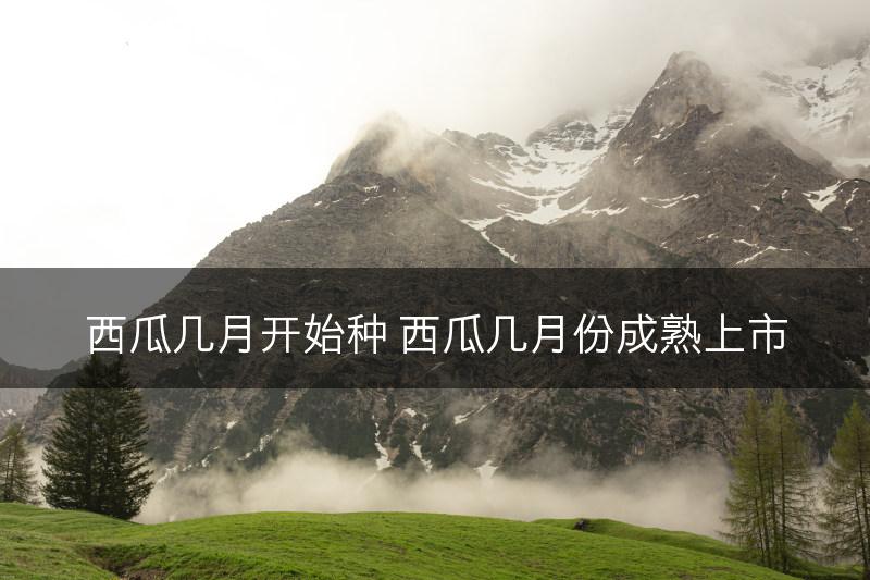 西瓜几月开始种 西瓜几月份成熟上市(图1)