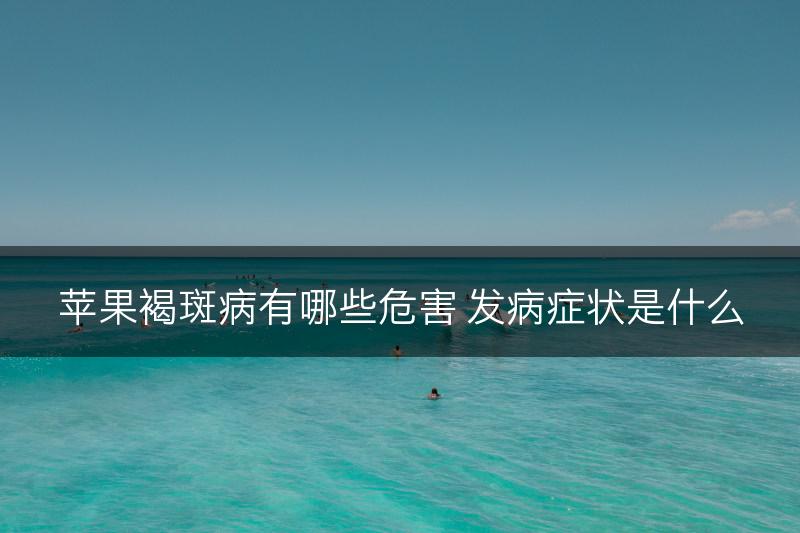苹果褐斑病有哪些危害 发病症状是什么(图1)