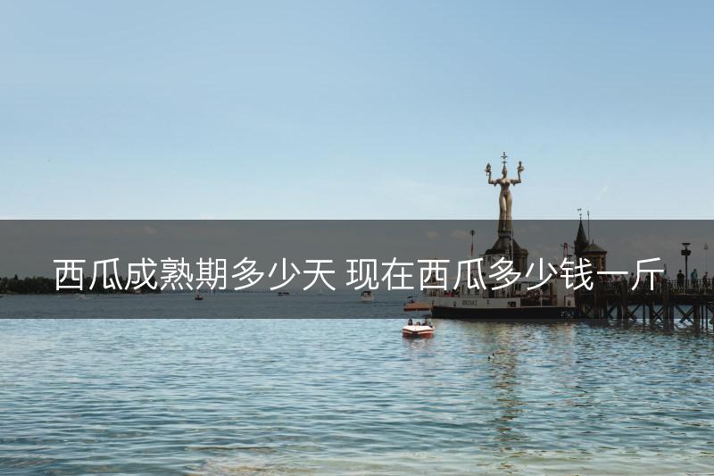 西瓜成熟期多少天 现在西瓜多少钱一斤(图1)