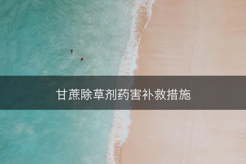 甘蔗除草剂药害补救措施(图1)