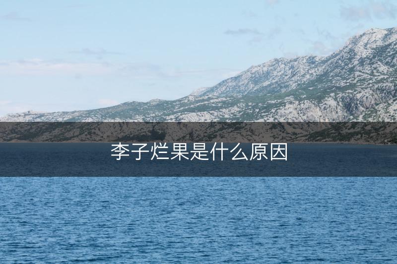 李子烂果是什么原因(图1)