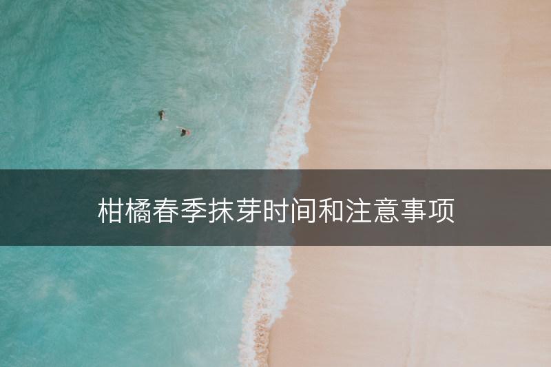 柑橘春季抹芽时间和注意事项(图1)