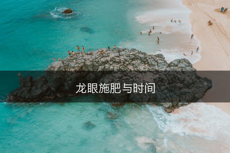 龙眼施肥与时间(图1)
