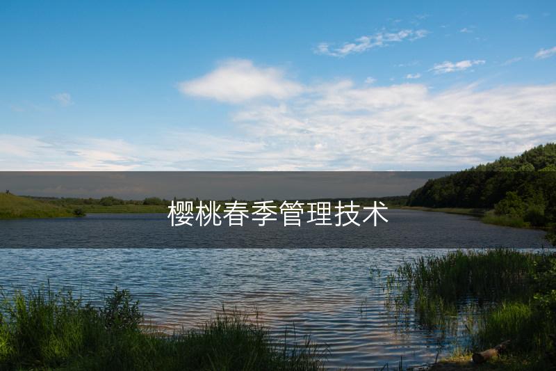樱桃春季管理技术(图1)