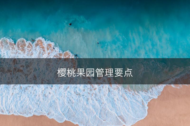 樱桃果园管理要点(图1)