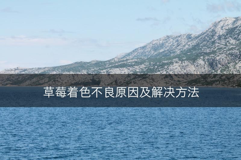 草莓着色不良原因及解决方法(图1)