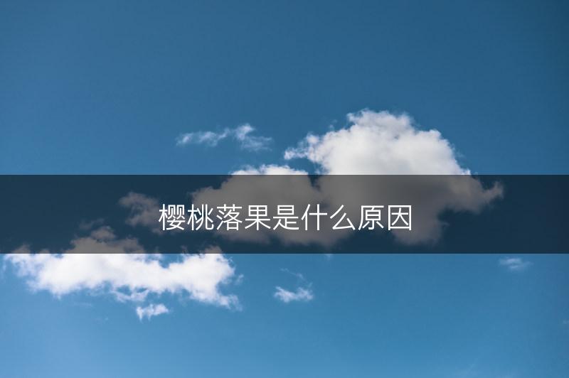 樱桃落果是什么原因(图1)