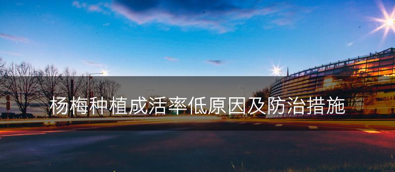 杨梅种植成活率低原因及防治措施(图1)